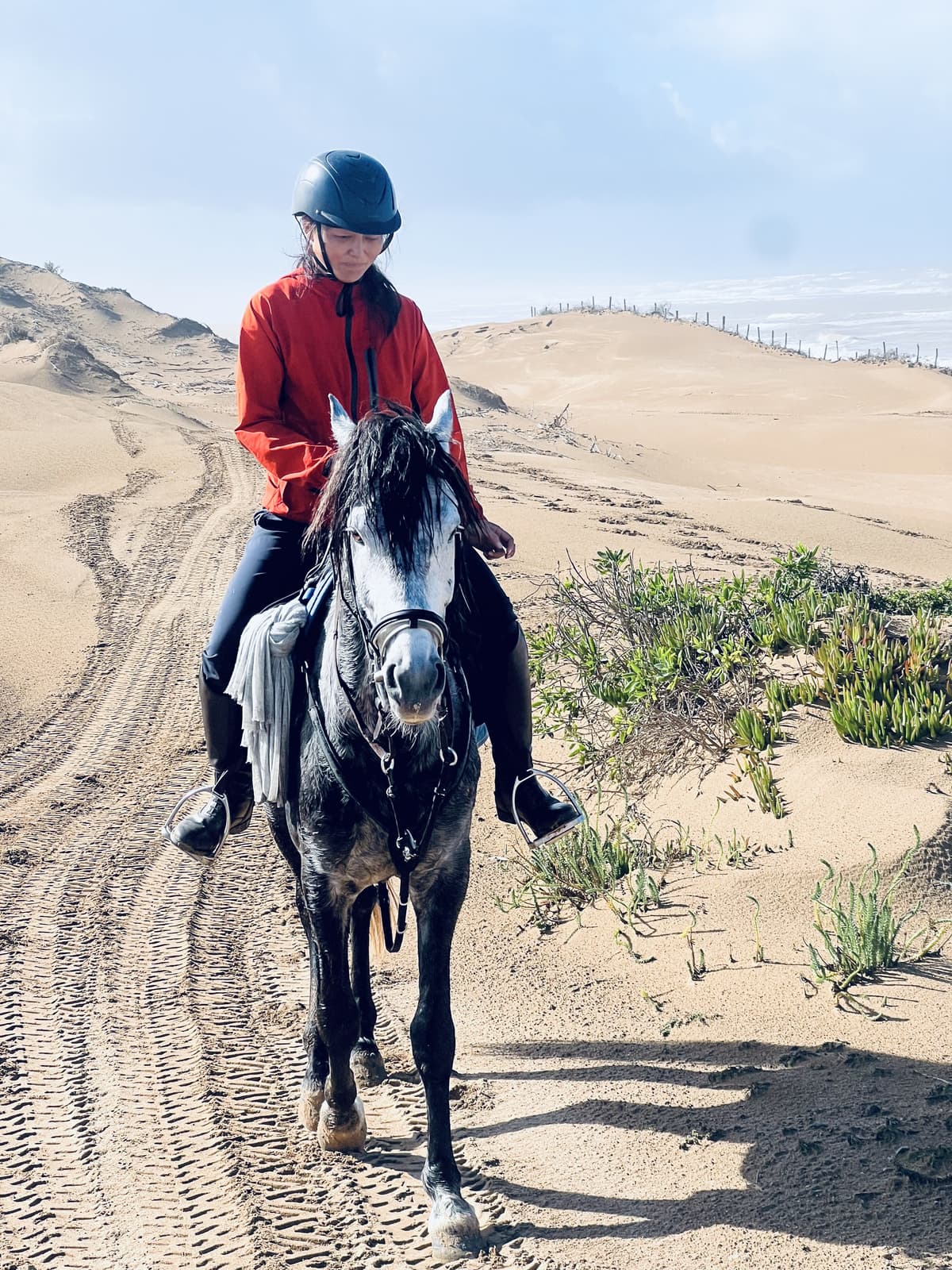 Sunset Beach Horse Ride in Essaouira photo shot & videos - view 4