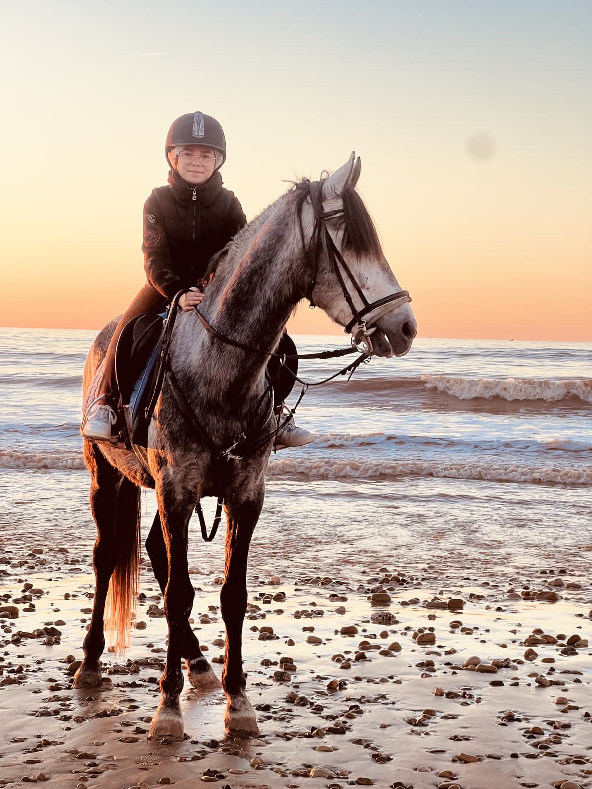 Sunset Beach Horse Ride in Essaouira photo shot & videos - view 5