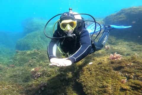 Activité Diving à M'diq - view 4