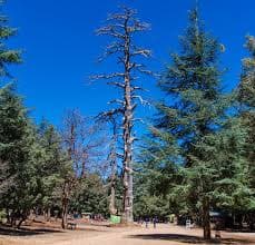 Ifran moulay yaakoub Fes Azrou - view 5