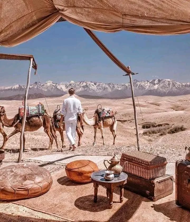 Excursion d'une journée au désert d'Agafay 🏜. - view 5