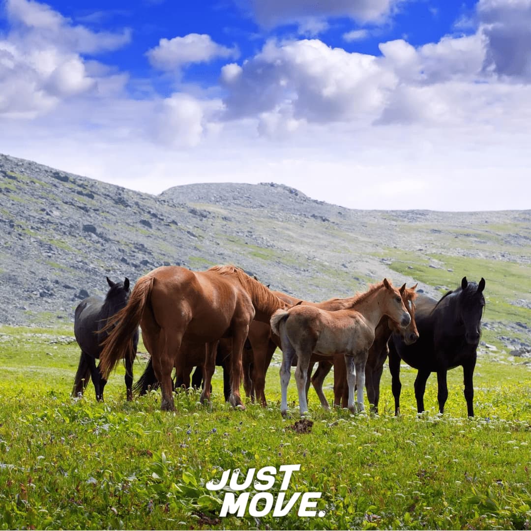 Monte Blanco, Fahs Lamhar