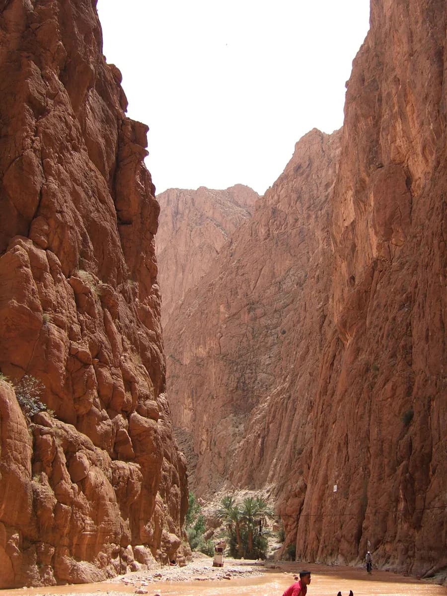 Todra