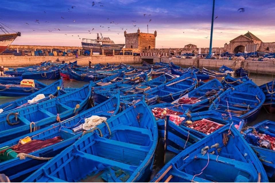 Depuis Marrakech : excursion d’une journée à Essaouira, l’ancienne cité de Mogador et sa côte atlantique